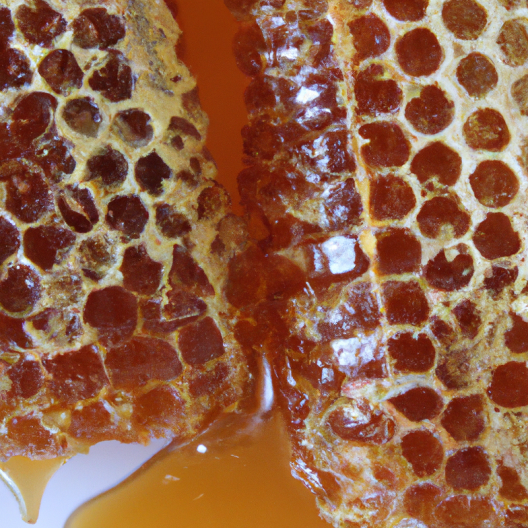 Las nuevas generaciones de apicultores